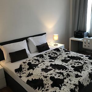 Uitgebreid Appartement met een Slaapkamer